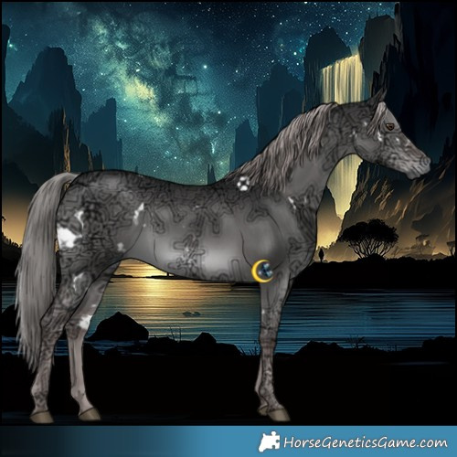 Horse Color:Gray Platinum White Spotted Liver Red Dun Ice Brindle 