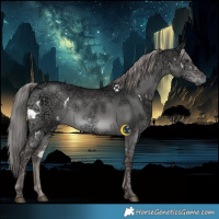 Horse Color:Gray Platinum White Spotted Liver Red Dun Ice Brindle