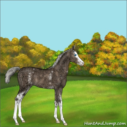 Horse Color:White Spotted Liver Red Dun Ice Mushroom Splash 