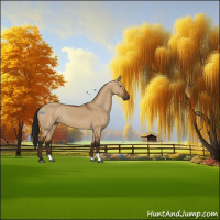 Horse Color:Gray Brown Dun 