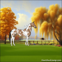 Horse Color:Gray Bay Dun Tobiano Near Leopard 