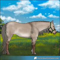 Horse Color:Liver Red Dun Mushroom Sabino Rabicano 