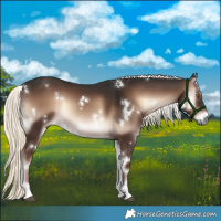 Horse Color:White Spotted Liver Red Onyx Mushroom Sabino Rabicano 
