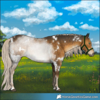 Horse Color:White Spotted Chocolate Palomino Mushroom Rabicano