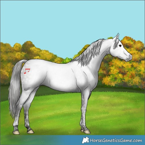 Horse Color:Gray Midnight Bay Ice Dun Tobiano Rabicano