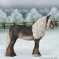 Horse Color:Liver Chestnut Mushroom 