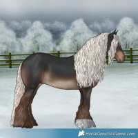 Horse Color:Liver Chestnut Mushroom 