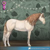Horse Color:Buckskin Pearl Dun 