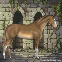 Horse Color:White Spotted Chocolate Palomino 