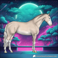 Horse Color:White Spotted Cremello 