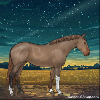 Horse Color:Liver Red Dun Tobiano Rabicano