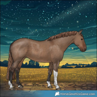 Horse Color:Liver Red Dun Tobiano Rabicano 