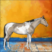 Horse Color:Liver Red Dun Tobiano Rabicano 