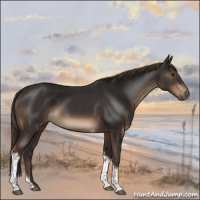 Horse Color:Liver Chestnut Tobiano 