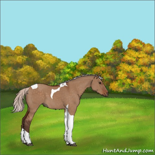 Horse Color:Silver Bay Dun Tobiano 