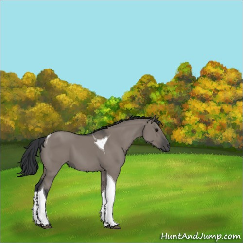 Horse Color:Grullo Tobiano 