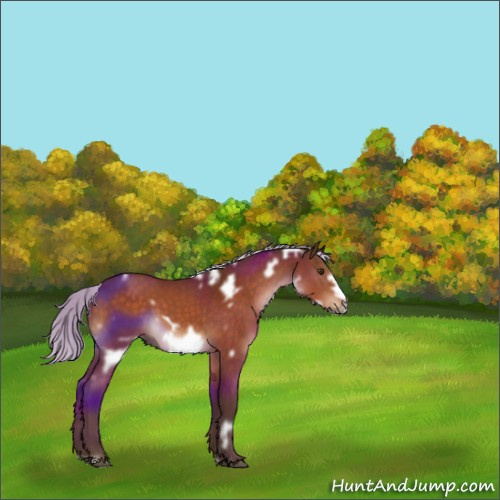 Horse Color:White Spotted Silver Brown Frame 