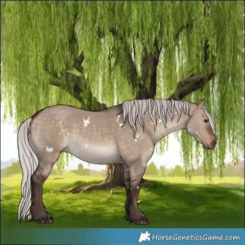 Horse Color:White Spotted Silver Brown Dun 