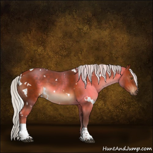Horse Color:White Spotted Silver Bay Tobiano 