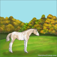 Horse Color:Chocolate Palomino Pearl Splash Tobiano Frame  and Palomino Pearl Splash Tobiano Frame 