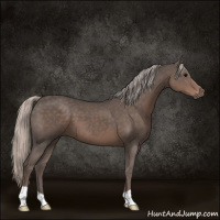 Horse Color:Silver Black 