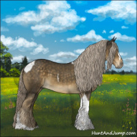 Horse Color:Chocolate Palomino Tobiano 