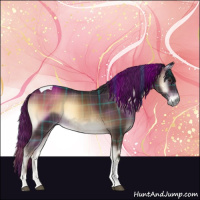 Horse Color:Plaid  Liver Red Onyx Tobiano 