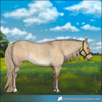 Horse Color:Chocolate Palomino Roan Dun