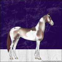 Horse Color:Plaid Liver Red Onyx Tobiano Frame