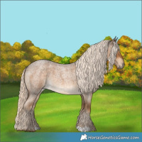 Horse Color:Chocolate Palomino Roan 