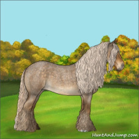 Horse Color:Chocolate Palomino Roan