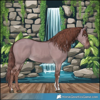 Horse Color:Liver Red Dun Sabino Rabicano
