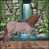 Horse Color:Liver Red Dun Sabino Rabicano 