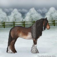 Horse Color:Liver Chestnut Tobiano 