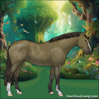 Horse Color:Liver Red Dun Sabino Rabicano