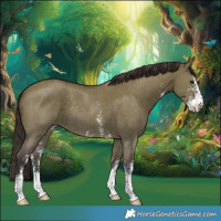 Horse Color:Liver Red Dun Sabino Rabicano 
