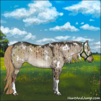 Horse Color:White Spotted Liver Red Dun Tobiano Brindle 