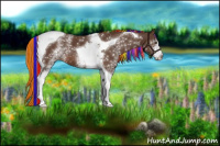 Horse Color:Painted White Spotted Liver Chestnut Tobiano