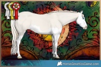 Horse Color:Smoky Creme Dun Splash 