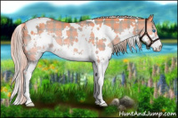 Horse Color:Watercolor Plaid  White Spotted Liver Red Dun Splash Rabicano 