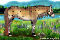 Horse Color:Void Plaid  White Spotted Chocolate Palomino Onyx 