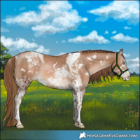 Horse Color:White Spotted Liver Chestnut Pearl Tobiano 