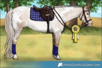 Horse Color:White Spotted Liver Chestnut Pearl Rabicano 