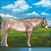 Horse Color:White Spotted Liver Chestnut Pearl Mushroom Rabicano 