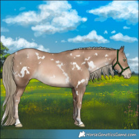 Horse Color:White Spotted Liver Chestnut Pearl Mushroom Rabicano