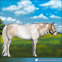 Horse Color:White Spotted Chocolate Palomino Pearl 