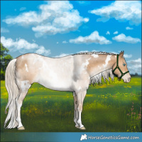 Horse Color:White Spotted Chocolate Palomino Pearl 
