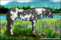 Horse Color:White Spotted Liver Chestnut Ice 