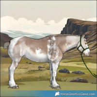 Horse Color:Liver Red Dun Sabino Tobiano 