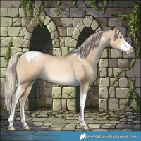 Horse Color:Liver Red Dun Snowdrop Pearl Mushroom Sabino Tobiano 